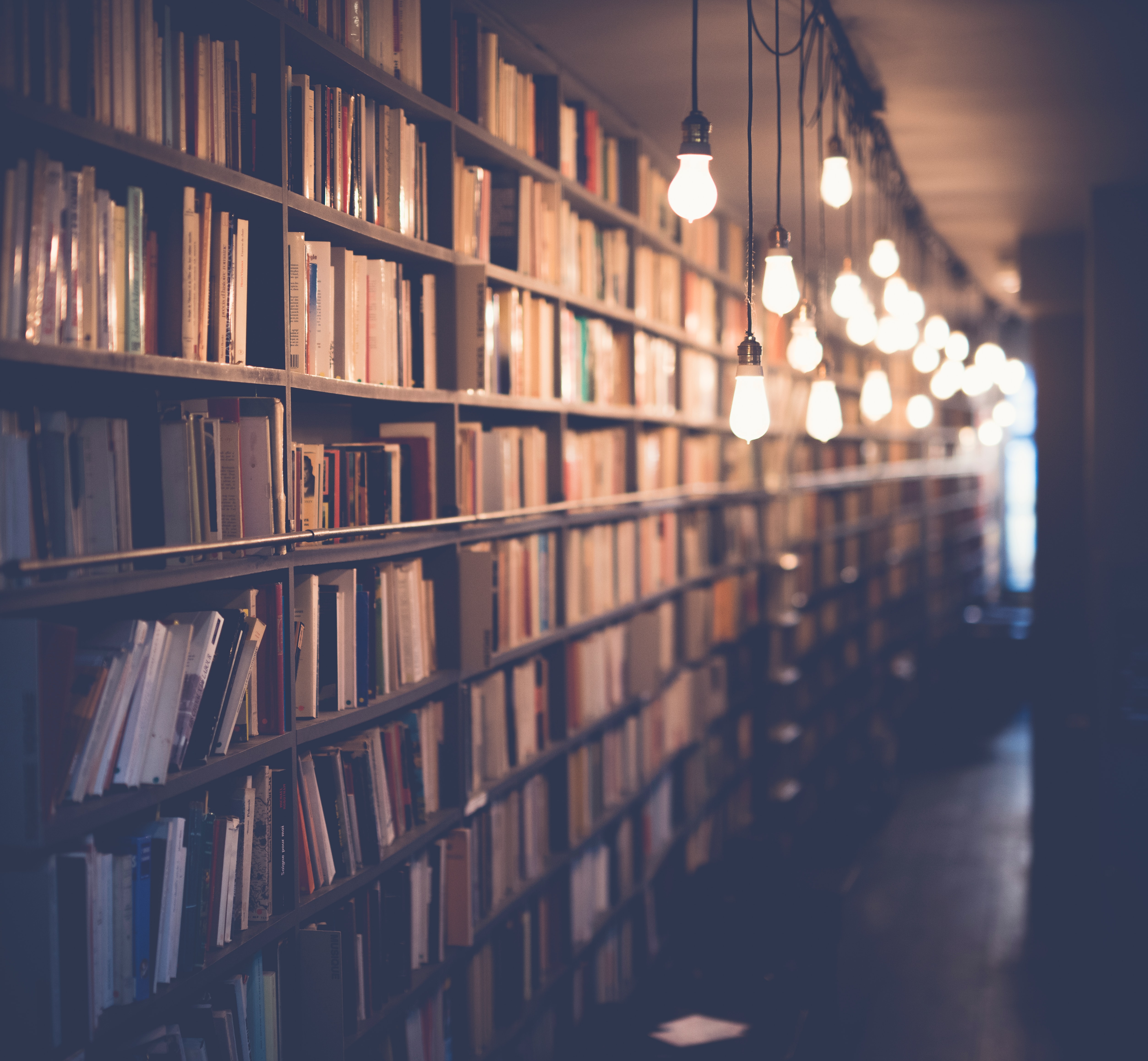 Library shelves with books